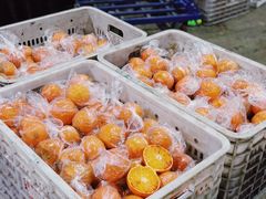 -菜园坝水果市场