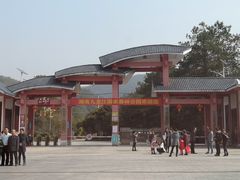 -九龙江国家森林公园