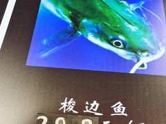 -蛙一刀·麻椒鱼火锅(金仙桥店)