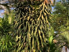 -北京植物园-展览温室