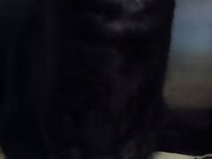 -创凡宠物医院·骨专科  猫科中心(西乡分院)