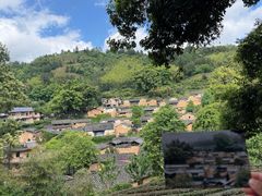 -杨家堂村