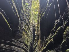 -梭布垭石林景区