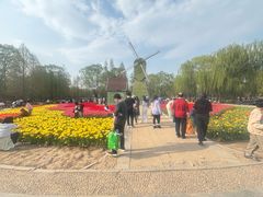 -石家庄市植物园