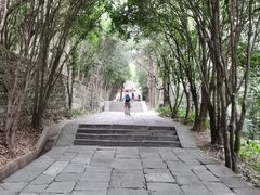 -武当山风景区-太子坡