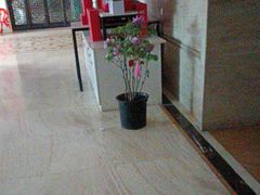 -洛阳宴·洛阳菜(南昌路店)