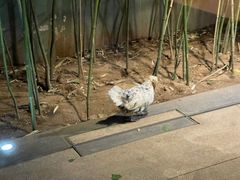 -春记潮汕牛肉火锅