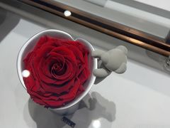 -ROSEONLY诺誓(磐基中心店)