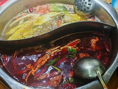 -金鼎雪山牦牛杂火锅(理县总店)