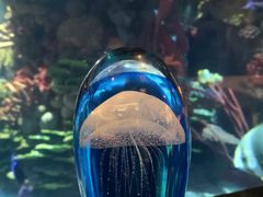 -迪拜帆船酒店海底餐厅