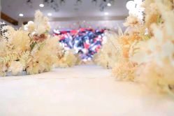 -美瑞蜜婚庆公司婚礼策划跟拍定制中心