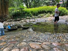 -成都市活水公园