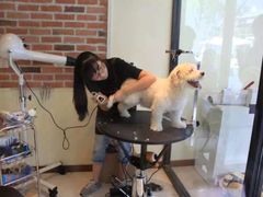 -Oh My Dog宠物沙龙(伊珊娜皮毛护理店)