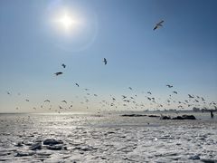 -老虎石海上公园