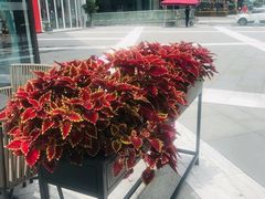 -IPARK购物中心