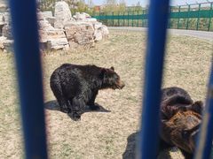 -鄂尔多斯野生动物园