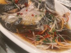 -阿英煲(凉城路店)