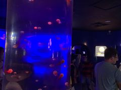 -青岛海底世界-水族馆