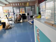 -天使宠物医院·犬猫分诊(彩虹店)