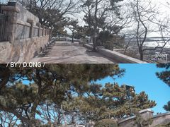 -八大关景区