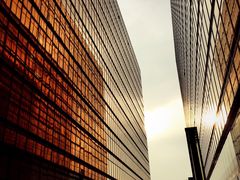 -香港皇家太平洋酒店