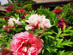 -大钟寺古钟博物馆