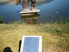 -飞来湖湿地公园
