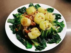 -优护优家Ucare月嫂育儿嫂陪伴师(静安店)