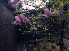 -廊坊市自然公园