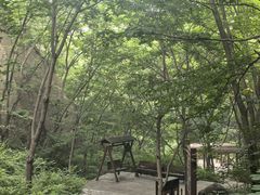 -大岭沟猕猴桃谷风景区