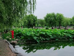 -长春市南湖公园