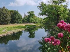 -上海共青森林公园