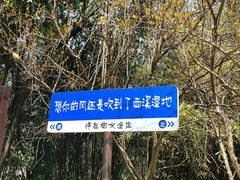 -西溪国家湿地公园