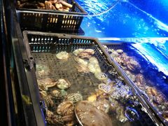 水产区-喜庭海鲜自助(来福士店)