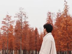 -白鹭湾湿地公园