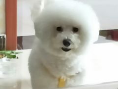 -惠康宠物医院(华能路店)