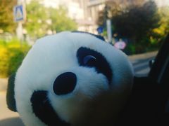 -川西坝子(老军营店)