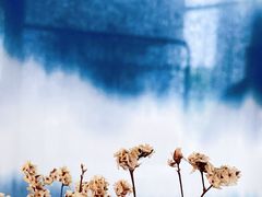 -观澜湖手艺工场·陶艺·吹玻璃·拼豆