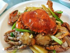 -至潮餐厅精致粤菜·活鲈鱼·走地鸡(珠江新城店)