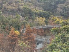 -福道