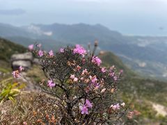 -七娘山