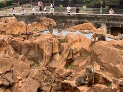 -昆明动物园