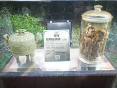 -广州神农草堂中医药博物馆