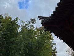 -阿育王寺