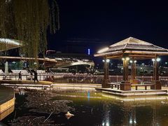 -雁滩公园