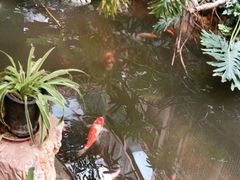 -聚缘堂·海鲜私房菜(松岭路店)