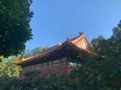 -国家植物园