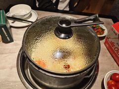 -野·大山里野生菌石锅土鸡(益田假日店)