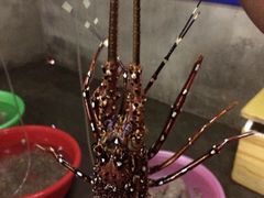 -幸福姐海鲜大排档