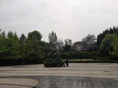 -重庆彩云湖湿地公园